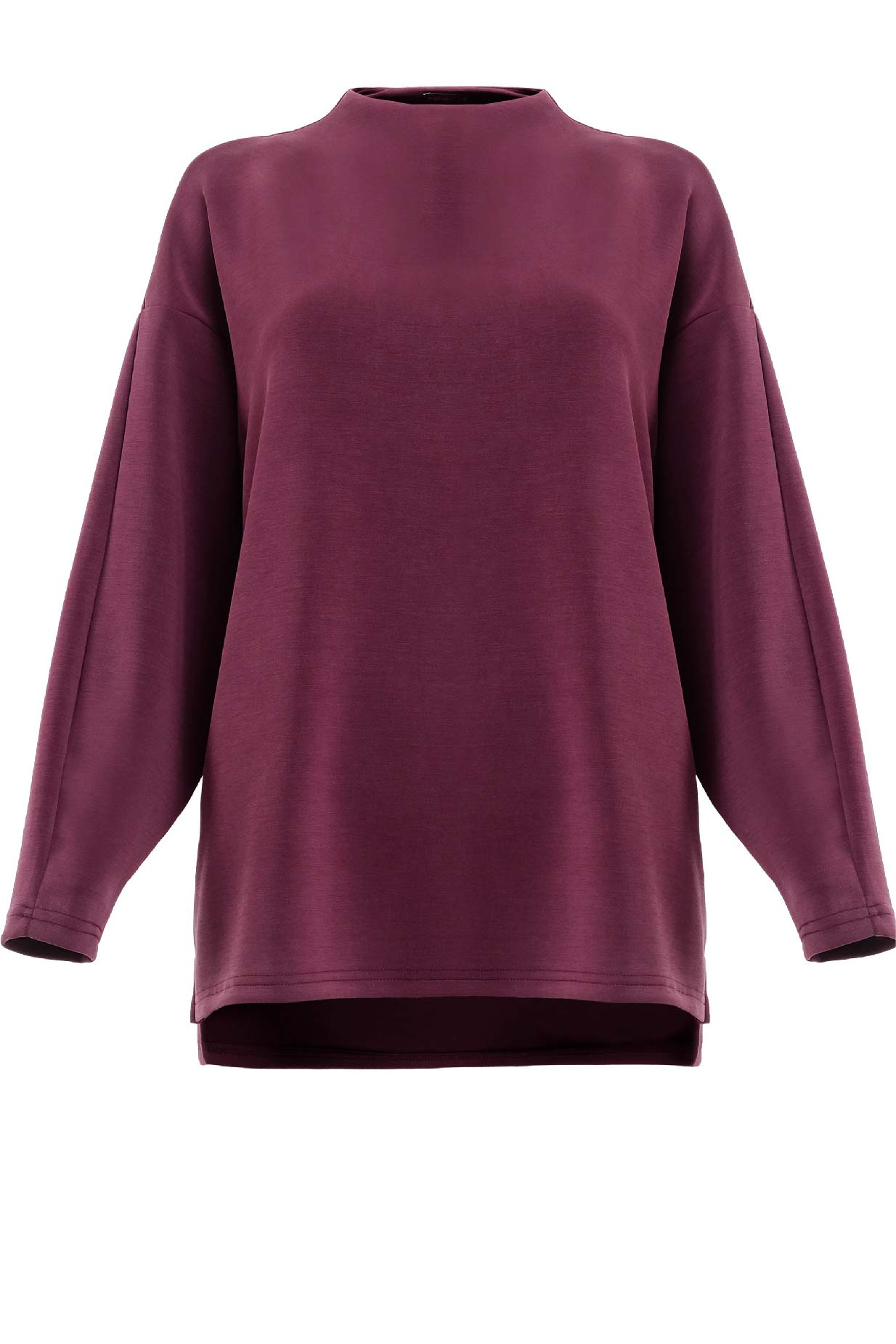 Denali Soft High Neck Blouse